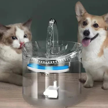 MASCOTAS