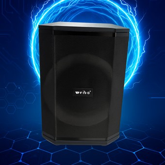 CABINA SONIDO WEIBO 5138